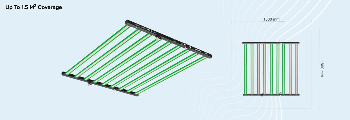 Digi-Lumen 1000w coverage area