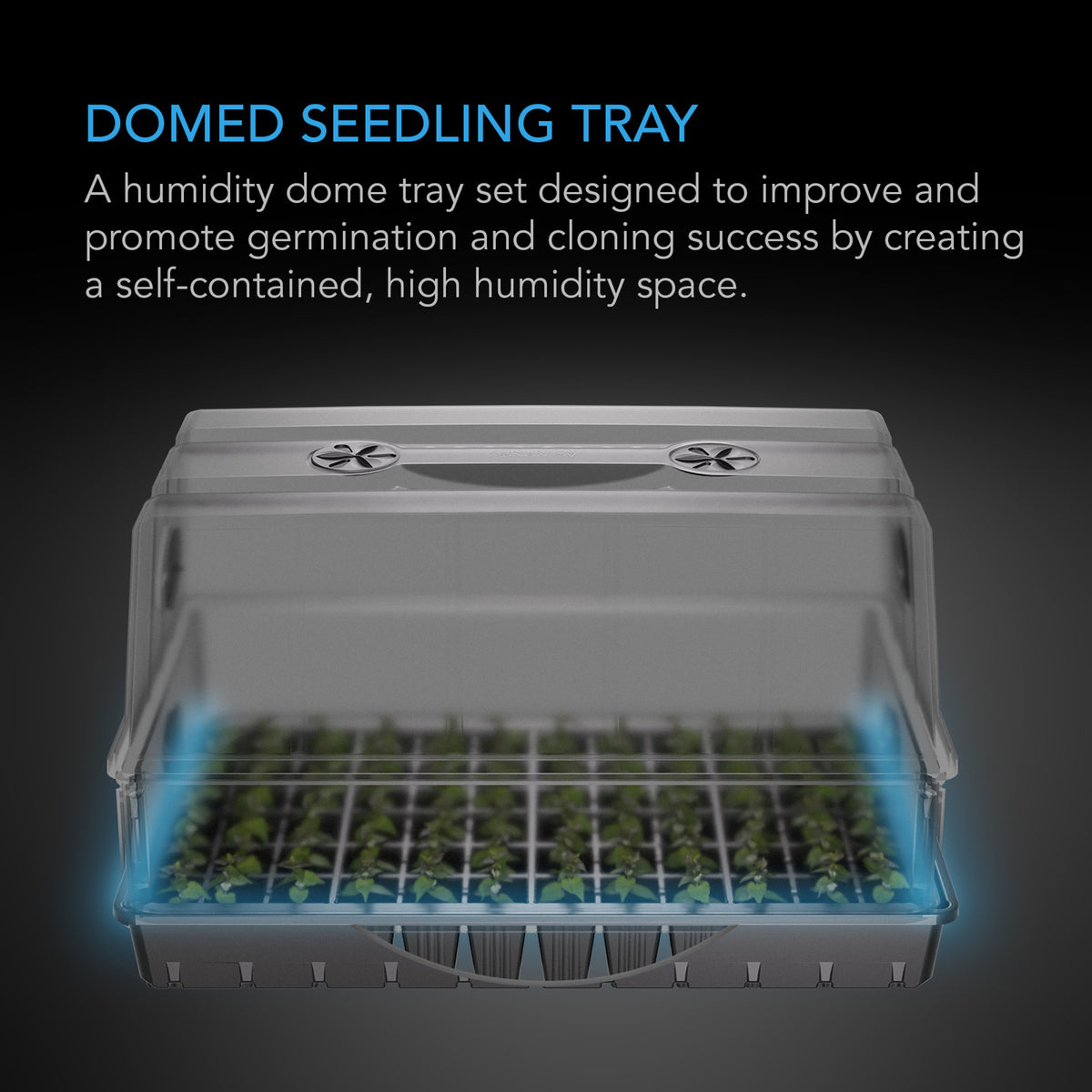 Domed Seedling Tray XL